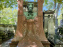 Visuels Paris - Tombe Emile Zola