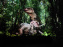 Dinosaures : l'expérience immersive qui nous fait remonter le temps à l'Atelier des Lumières, photos
