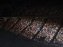 Visuels Salle de concert - Accor Arena - Bercy