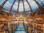 Pour Toujours, exposition de Maurizio Catelan aux Galeries Lafayette