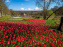 Les tulipes du Château de Dampierre, son jardin anglais et le jardin Le Nôtre