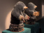 Expositions Diego Marcon et Ladji Diaby à Lafayette Anticipations