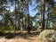 Escalade en Forêt de Fontainebleau - nos photos