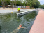 La baignade dans la Marne à Maisons-Alfort (94) - nos photos