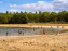 Île de loisirs du Val de Seine dans les Yvelines, plage, baignade et activités - photos