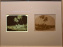 Voir Tahiti : une exposition qui dévoile les premières photos du XIXe siècle au musée du Quai Branly