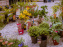 Jardins en fête à Auvers 91