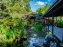 Les jardins japonais du Parc Floral de Paris au Bois de Vincennes