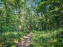 Les Nuits des Forêts 2023 dans le Val-d'Oise (95) : Le programme