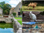 Janvry, le charmant village au Parc animalier gratuit et animations
