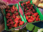 Cueillettes des fraises autour de Paris