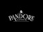 Pandore & Associés, le plus grand escape game de Paris ouvre ses portes