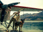 Heart of the Beast : Brad Pitt seul en Alaska avec son chien