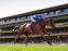 Qatar Arc Trials à l'Hippodrome Paris Longchamp