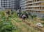 Eva Kotchever, le potager perché sur le toit d'une école qui se cultive à Paris