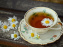Paris Tea Festival 2026 : festival du thé