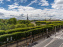 visuel Paris visuel  - Rue de Rivoli - jardin des Tuileries