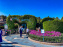 Visuels Disneyland Paris - Alice's Curious Labyrinth