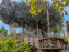 Visuels Disneyland Paris - La Cabane des Robinson