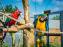 Parrot World, le parc animalier immersif d'Île-de-France