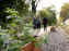 Jardin des Traverses : un espace de détente et d'agriculture urbaine sur la Petite Ceinture