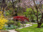Les jardins du Musée Albert Kahn, nos photos