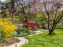 Les jardins du Musée Albert Kahn, nos photos