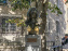 Visuels Paris - Montmartre buste Dalida