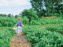 visuel jardinage