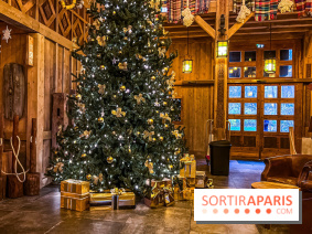 Noël Paris visuels - sapin de noël