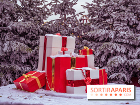 Noël Paris visuels - cadeau Noël