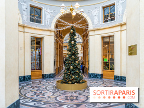 Noël Paris visuels - cadeau - sapin - Marché de Noël - cadeau de Noël - décoration -  A7C9121