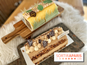 Bûches de Noël végétales des maisons Landemaine et Land&Monkeys