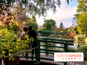 Saint-Valentin visuel saint Valentin - couple