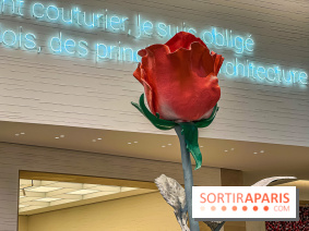 Saint-Valentin visuel saint Valentin 