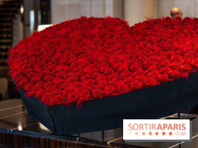 Saint-Valentin visuel saint Valentin  -  A7C2620