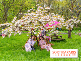 Le Moulin jaune - Hanami 2023 -  A7C1518