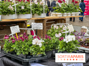 Esprit Jardin à Versailles - Marché aux plantes et animations