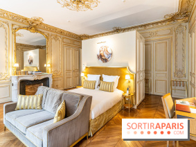 Hotel Alfred Sommier Paris