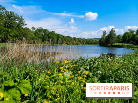 Balade nature dans la forêt de Montmorency, nos photos