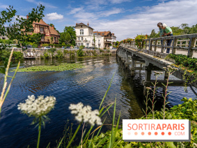 Samois-sur-Seine - Village de Caractère - Seine-et-Marne -  A7C9245