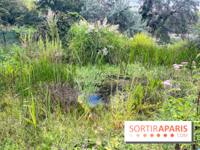 Le parc Georges Brassens, pour se croire à la campagne dans le 15e