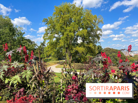 Parc de la butte du chapeau rouge