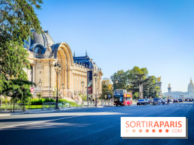 Nuits corticales, l'exposition contemporaine de Loris Gréaud qui transforme le Petit Palais - photos