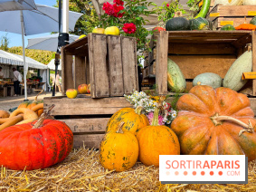 Automne au Potager du Roi - Citrouilles - Halloween