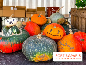 Automne au Potager du Roi - Citrouilles - Halloween