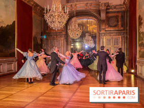 La Belle et la Bête, le spectacle au château de Maisons-Laffitte - nos photos - image00018
