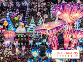 Noël au Parc Astérix 2023, sentier de lumières et patinoire - IMG 4996