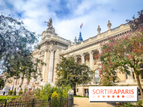 Visuel Paris 8e - Grand Palais