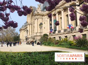 Visuel Paris 8e - Petit Palais printemps cerisiers fleurs 
